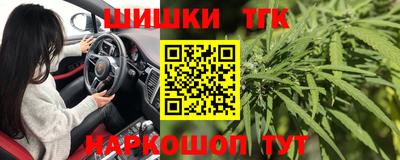 МДПВ Рыбинск